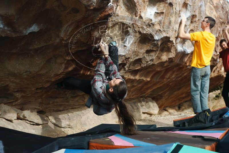 Bouldering in Hueco Tanks on 02/03/2019 with Blue Lizard Climbing and Yoga
Filename: SRM_20190203_1117250.jpg
Aperture: f/4.0
Shutter Speed: 1/400
Body: Canon EOS-1D Mark II
Lens: Canon EF 50mm f/1.8 II