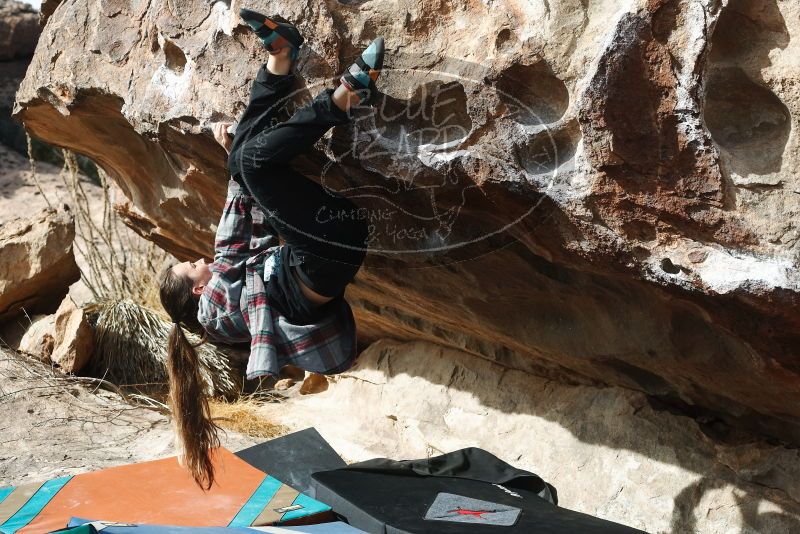 Bouldering in Hueco Tanks on 02/03/2019 with Blue Lizard Climbing and Yoga

Filename: SRM_20190203_1130250.jpg
Aperture: f/4.0
Shutter Speed: 1/800
Body: Canon EOS-1D Mark II
Lens: Canon EF 50mm f/1.8 II