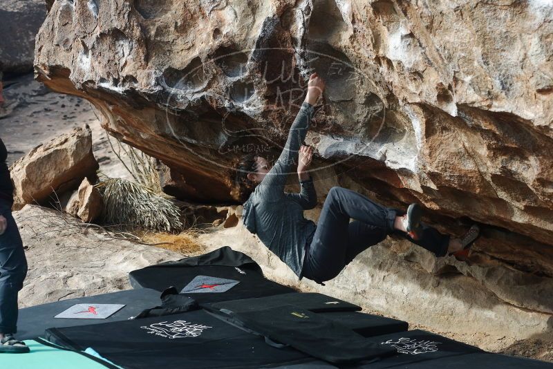 Bouldering in Hueco Tanks on 02/03/2019 with Blue Lizard Climbing and Yoga

Filename: SRM_20190203_1143190.jpg
Aperture: f/4.0
Shutter Speed: 1/400
Body: Canon EOS-1D Mark II
Lens: Canon EF 50mm f/1.8 II