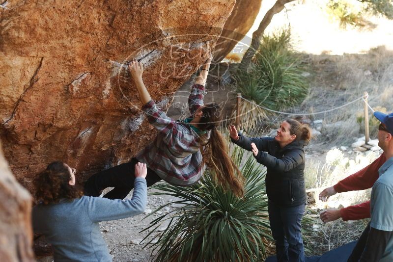 Bouldering in Hueco Tanks on 02/03/2019 with Blue Lizard Climbing and Yoga
Filename: SRM_20190203_1306330.jpg
Aperture: f/3.5
Shutter Speed: 1/200
Body: Canon EOS-1D Mark II
Lens: Canon EF 50mm f/1.8 II