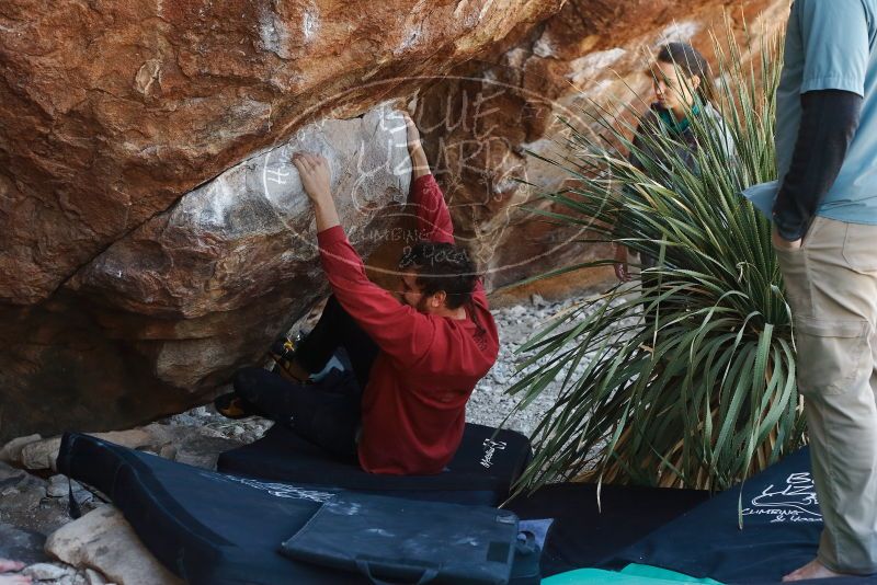 Bouldering in Hueco Tanks on 02/03/2019 with Blue Lizard Climbing and Yoga
Filename: SRM_20190203_1342330.jpg
Aperture: f/4.0
Shutter Speed: 1/250
Body: Canon EOS-1D Mark II
Lens: Canon EF 50mm f/1.8 II