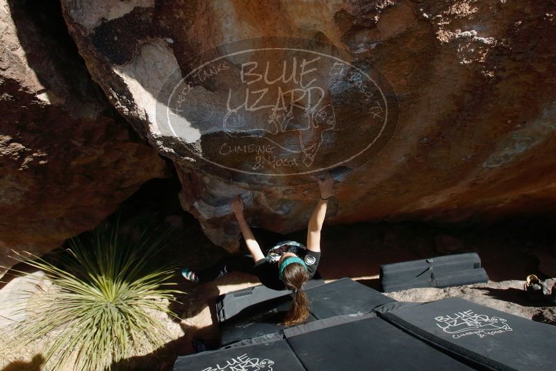 Bouldering in Hueco Tanks on 02/03/2019 with Blue Lizard Climbing and Yoga
Filename: SRM_20190203_1425450.jpg
Aperture: f/5.6
Shutter Speed: 1/250
Body: Canon EOS-1D Mark II
Lens: Canon EF 16-35mm f/2.8 L