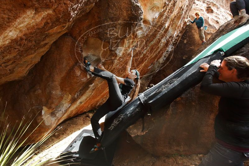 Bouldering in Hueco Tanks on 02/03/2019 with Blue Lizard Climbing and Yoga

Filename: SRM_20190203_1444190.jpg
Aperture: f/5.6
Shutter Speed: 1/250
Body: Canon EOS-1D Mark II
Lens: Canon EF 16-35mm f/2.8 L