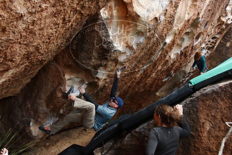 Bouldering in Hueco Tanks on 02/03/2019 with Blue Lizard Climbing and Yoga
Filename: SRM_20190203_1448180.jpg
Aperture: f/5.6
Shutter Speed: 1/250
Body: Canon EOS-1D Mark II
Lens: Canon EF 16-35mm f/2.8 L