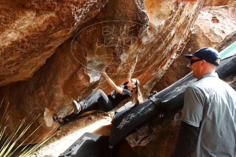 Bouldering in Hueco Tanks on 02/03/2019 with Blue Lizard Climbing and Yoga

Filename: SRM_20190203_1453040.jpg
Aperture: f/5.6
Shutter Speed: 1/320
Body: Canon EOS-1D Mark II
Lens: Canon EF 16-35mm f/2.8 L