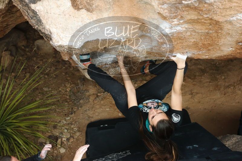 Bouldering in Hueco Tanks on 02/03/2019 with Blue Lizard Climbing and Yoga
Filename: SRM_20190203_1502400.jpg
Aperture: f/4.0
Shutter Speed: 1/400
Body: Canon EOS-1D Mark II
Lens: Canon EF 50mm f/1.8 II