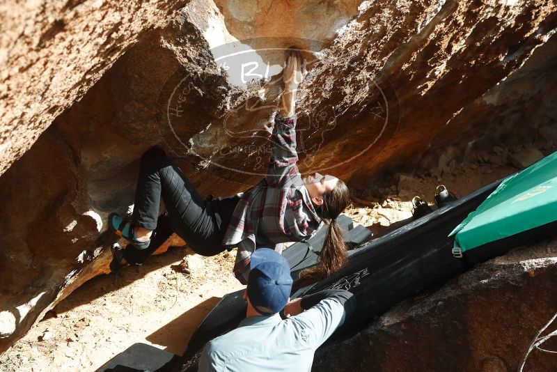Bouldering in Hueco Tanks on 02/03/2019 with Blue Lizard Climbing and Yoga
Filename: SRM_20190203_1526130.jpg
Aperture: f/5.6
Shutter Speed: 1/1000
Body: Canon EOS-1D Mark II
Lens: Canon EF 50mm f/1.8 II