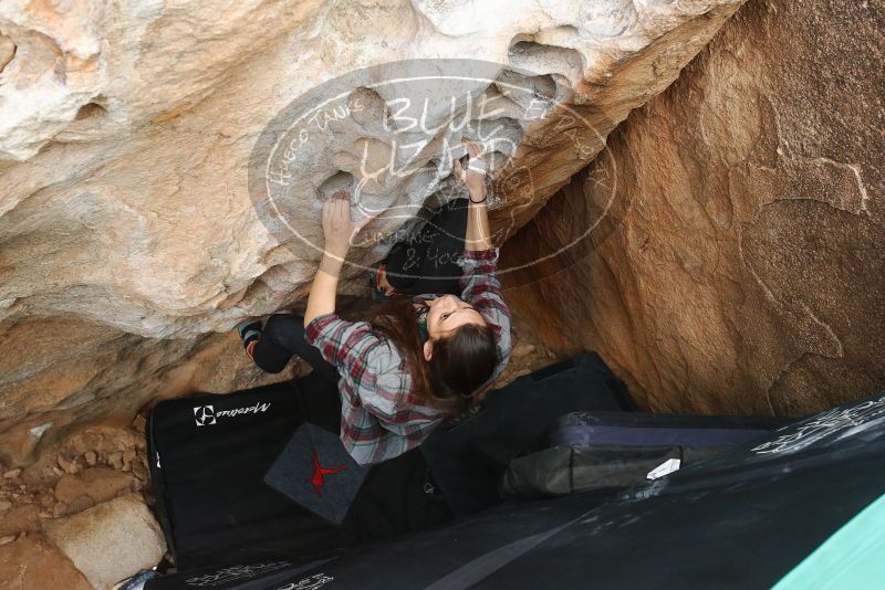 Bouldering in Hueco Tanks on 02/03/2019 with Blue Lizard Climbing and Yoga
Filename: SRM_20190203_1548040.jpg
Aperture: f/5.0
Shutter Speed: 1/250
Body: Canon EOS-1D Mark II
Lens: Canon EF 16-35mm f/2.8 L