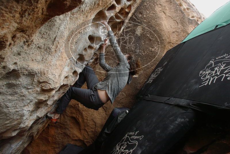 Bouldering in Hueco Tanks on 02/03/2019 with Blue Lizard Climbing and Yoga
Filename: SRM_20190203_1554370.jpg
Aperture: f/5.0
Shutter Speed: 1/320
Body: Canon EOS-1D Mark II
Lens: Canon EF 16-35mm f/2.8 L