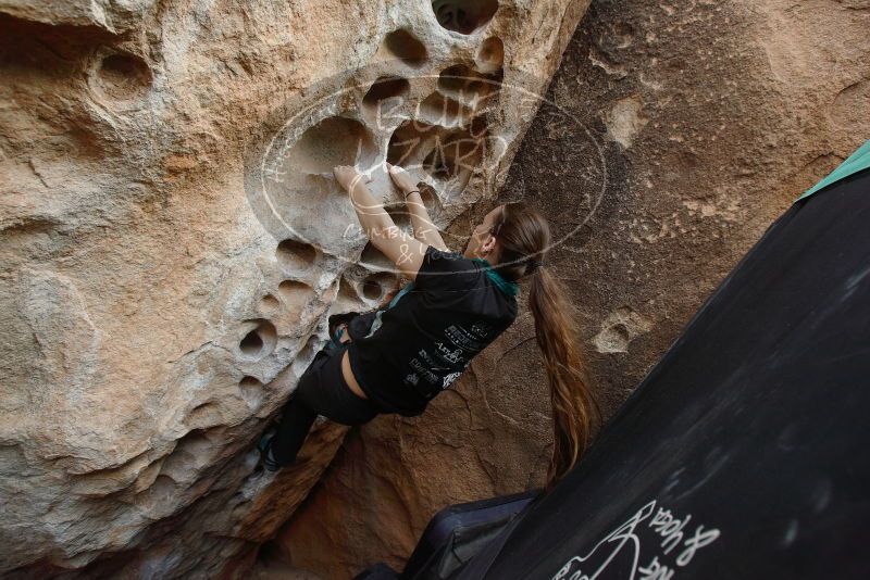 Bouldering in Hueco Tanks on 02/03/2019 with Blue Lizard Climbing and Yoga

Filename: SRM_20190203_1557570.jpg
Aperture: f/5.0
Shutter Speed: 1/320
Body: Canon EOS-1D Mark II
Lens: Canon EF 16-35mm f/2.8 L