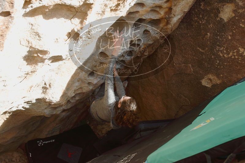 Bouldering in Hueco Tanks on 02/03/2019 with Blue Lizard Climbing and Yoga
Filename: SRM_20190203_1604070.jpg
Aperture: f/5.0
Shutter Speed: 1/1600
Body: Canon EOS-1D Mark II
Lens: Canon EF 16-35mm f/2.8 L