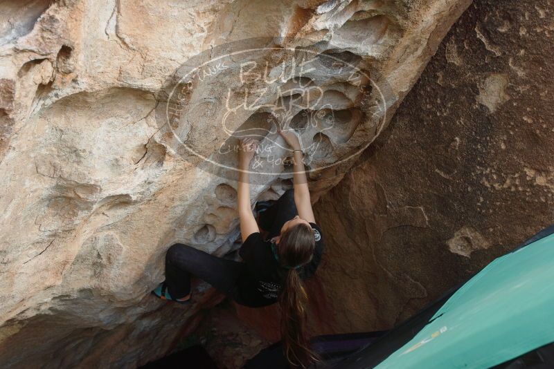 Bouldering in Hueco Tanks on 02/03/2019 with Blue Lizard Climbing and Yoga
Filename: SRM_20190203_1606250.jpg
Aperture: f/5.0
Shutter Speed: 1/800
Body: Canon EOS-1D Mark II
Lens: Canon EF 16-35mm f/2.8 L