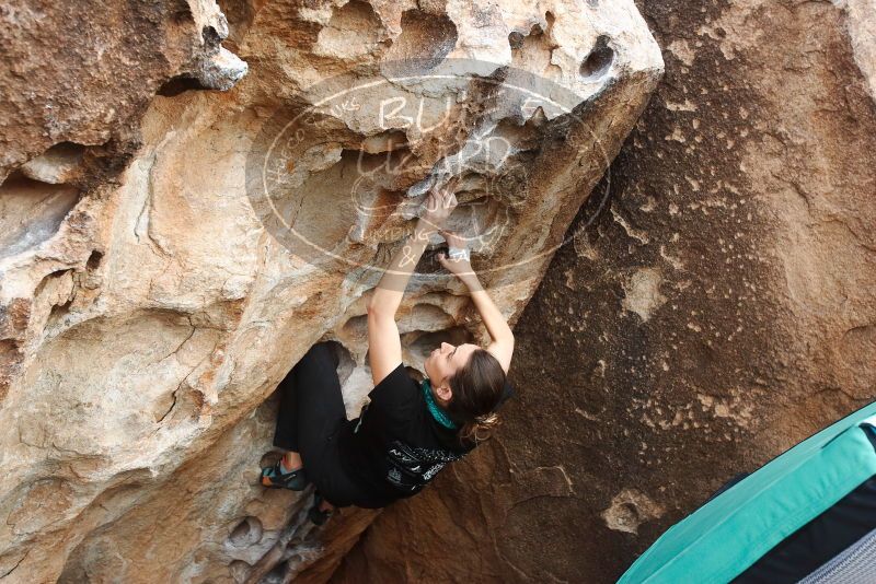 Bouldering in Hueco Tanks on 02/03/2019 with Blue Lizard Climbing and Yoga
Filename: SRM_20190203_1623030.jpg
Aperture: f/5.0
Shutter Speed: 1/500
Body: Canon EOS-1D Mark II
Lens: Canon EF 16-35mm f/2.8 L