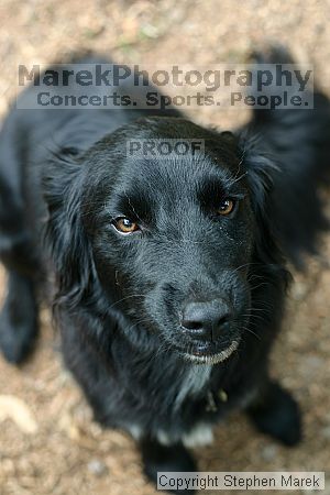 

Filename: img_7988_std.jpg
Aperture: f/3.5
Shutter Speed: 1/125
Body: Canon EOS DIGITAL REBEL
Lens: Canon EF 50mm f/1.8 II