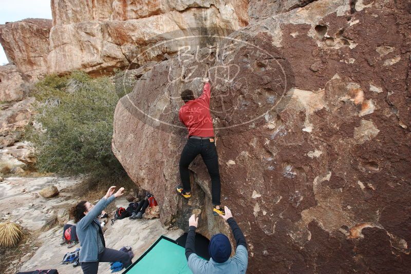 Bouldering in Hueco Tanks on 02/03/2019 with Blue Lizard Climbing and Yoga
Filename: SRM_20190203_1646010.jpg
Aperture: f/5.6
Shutter Speed: 1/250
Body: Canon EOS-1D Mark II
Lens: Canon EF 16-35mm f/2.8 L