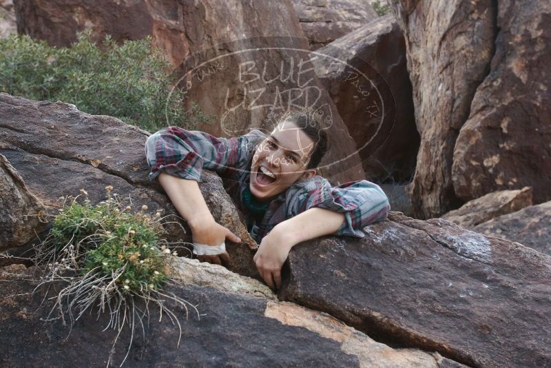 Bouldering in Hueco Tanks on 02/03/2019 with Blue Lizard Climbing and Yoga
Filename: SRM_20190203_1654350.jpg
Aperture: f/5.6
Shutter Speed: 1/250
Body: Canon EOS-1D Mark II
Lens: Canon EF 16-35mm f/2.8 L