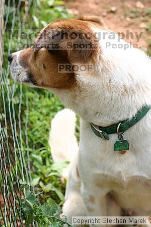 

Filename: img_8001_std.jpg
Aperture: f/5.0
Shutter Speed: 1/125
Body: Canon EOS DIGITAL REBEL
Lens: Canon EF 50mm f/1.8 II