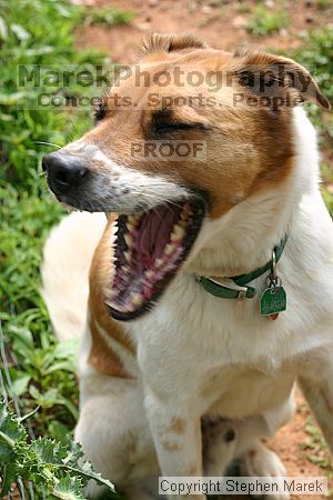 

Filename: img_7999_std.jpg
Aperture: f/5.0
Shutter Speed: 1/125
Body: Canon EOS DIGITAL REBEL
Lens: Canon EF 50mm f/1.8 II