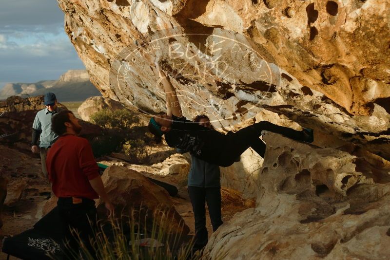 Bouldering in Hueco Tanks on 02/03/2019 with Blue Lizard Climbing and Yoga
Filename: SRM_20190203_1801280.jpg
Aperture: f/4.0
Shutter Speed: 1/800
Body: Canon EOS-1D Mark II
Lens: Canon EF 50mm f/1.8 II
