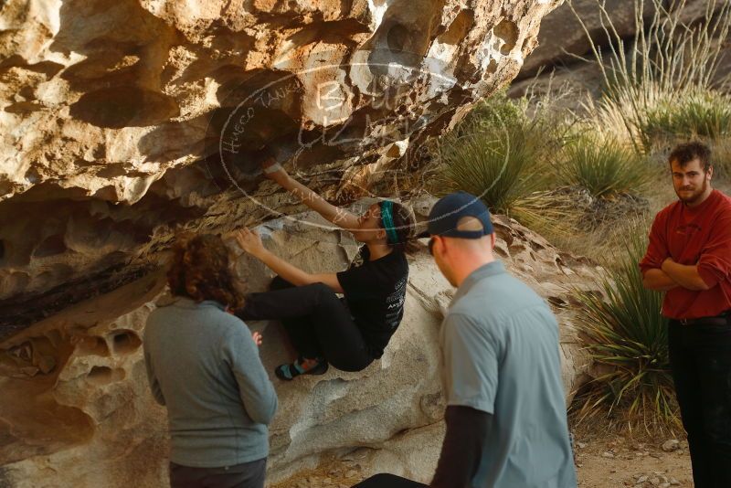 Bouldering in Hueco Tanks on 02/03/2019 with Blue Lizard Climbing and Yoga
Filename: SRM_20190203_1803520.jpg
Aperture: f/4.0
Shutter Speed: 1/200
Body: Canon EOS-1D Mark II
Lens: Canon EF 50mm f/1.8 II