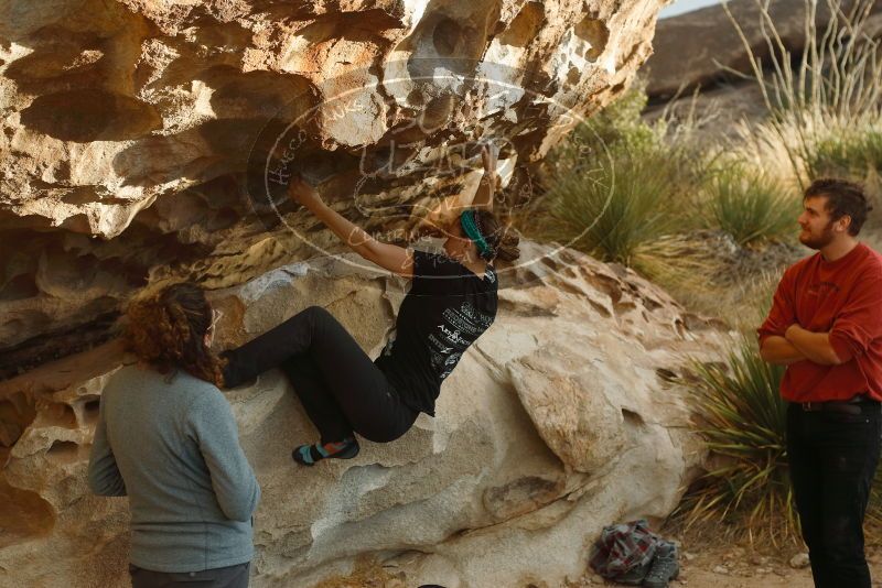 Bouldering in Hueco Tanks on 02/03/2019 with Blue Lizard Climbing and Yoga
Filename: SRM_20190203_1803580.jpg
Aperture: f/4.0
Shutter Speed: 1/200
Body: Canon EOS-1D Mark II
Lens: Canon EF 50mm f/1.8 II