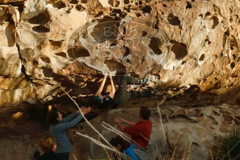 Bouldering in Hueco Tanks on 02/03/2019 with Blue Lizard Climbing and Yoga

Filename: SRM_20190203_1804440.jpg
Aperture: f/3.2
Shutter Speed: 1/1000
Body: Canon EOS-1D Mark II
Lens: Canon EF 50mm f/1.8 II