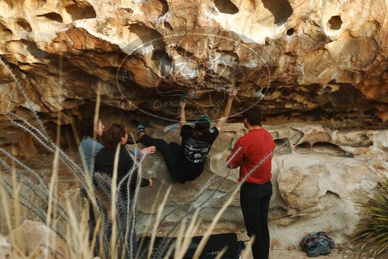 Bouldering in Hueco Tanks on 02/03/2019 with Blue Lizard Climbing and Yoga
Filename: SRM_20190203_1809590.jpg
Aperture: f/3.2
Shutter Speed: 1/250
Body: Canon EOS-1D Mark II
Lens: Canon EF 50mm f/1.8 II