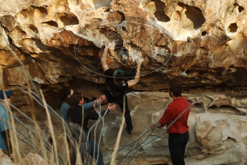 Bouldering in Hueco Tanks on 02/03/2019 with Blue Lizard Climbing and Yoga
Filename: SRM_20190203_1810060.jpg
Aperture: f/3.2
Shutter Speed: 1/320
Body: Canon EOS-1D Mark II
Lens: Canon EF 50mm f/1.8 II