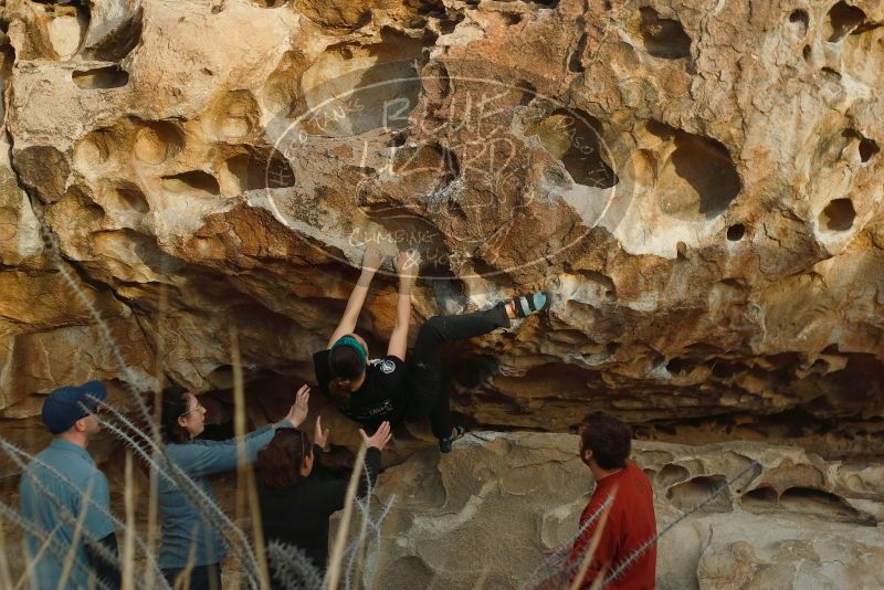 Bouldering in Hueco Tanks on 02/03/2019 with Blue Lizard Climbing and Yoga
Filename: SRM_20190203_1810190.jpg
Aperture: f/3.2
Shutter Speed: 1/400
Body: Canon EOS-1D Mark II
Lens: Canon EF 50mm f/1.8 II