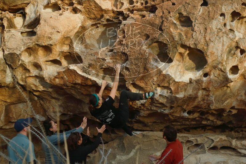 Bouldering in Hueco Tanks on 02/03/2019 with Blue Lizard Climbing and Yoga

Filename: SRM_20190203_1810210.jpg
Aperture: f/3.2
Shutter Speed: 1/400
Body: Canon EOS-1D Mark II
Lens: Canon EF 50mm f/1.8 II