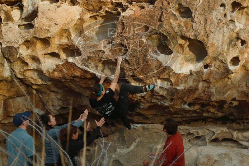 Bouldering in Hueco Tanks on 02/03/2019 with Blue Lizard Climbing and Yoga

Filename: SRM_20190203_1810230.jpg
Aperture: f/3.2
Shutter Speed: 1/400
Body: Canon EOS-1D Mark II
Lens: Canon EF 50mm f/1.8 II