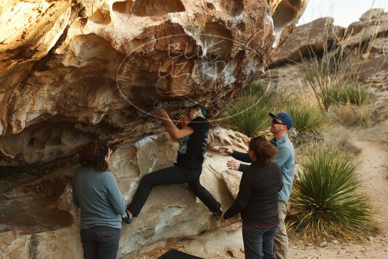 Bouldering in Hueco Tanks on 02/03/2019 with Blue Lizard Climbing and Yoga
Filename: SRM_20190203_1822490.jpg
Aperture: f/4.0
Shutter Speed: 1/320
Body: Canon EOS-1D Mark II
Lens: Canon EF 50mm f/1.8 II