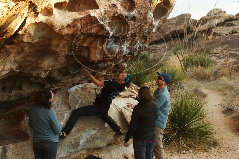 Bouldering in Hueco Tanks on 02/03/2019 with Blue Lizard Climbing and Yoga
Filename: SRM_20190203_1822510.jpg
Aperture: f/4.0
Shutter Speed: 1/400
Body: Canon EOS-1D Mark II
Lens: Canon EF 50mm f/1.8 II