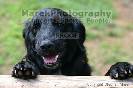 

Filename: img_7989_std.jpg
Aperture: f/4.0
Shutter Speed: 1/125
Body: Canon EOS DIGITAL REBEL
Lens: Canon EF 50mm f/1.8 II