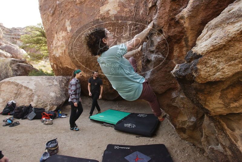 Bouldering in Hueco Tanks on 02/02/2019 with Blue Lizard Climbing and Yoga
Filename: SRM_20190202_1116250.jpg
Aperture: f/5.6
Shutter Speed: 1/400
Body: Canon EOS-1D Mark II
Lens: Canon EF 16-35mm f/2.8 L