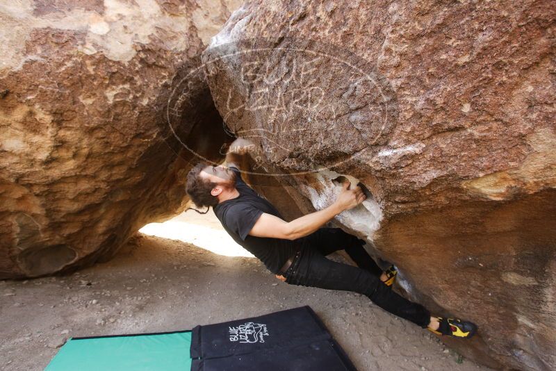 Bouldering in Hueco Tanks on 02/02/2019 with Blue Lizard Climbing and Yoga
Filename: SRM_20190202_1122430.jpg
Aperture: f/5.0
Shutter Speed: 1/200
Body: Canon EOS-1D Mark II
Lens: Canon EF 16-35mm f/2.8 L