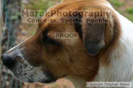 

Filename: img_7992_std.jpg
Aperture: f/5.0
Shutter Speed: 1/125
Body: Canon EOS DIGITAL REBEL
Lens: Canon EF 50mm f/1.8 II