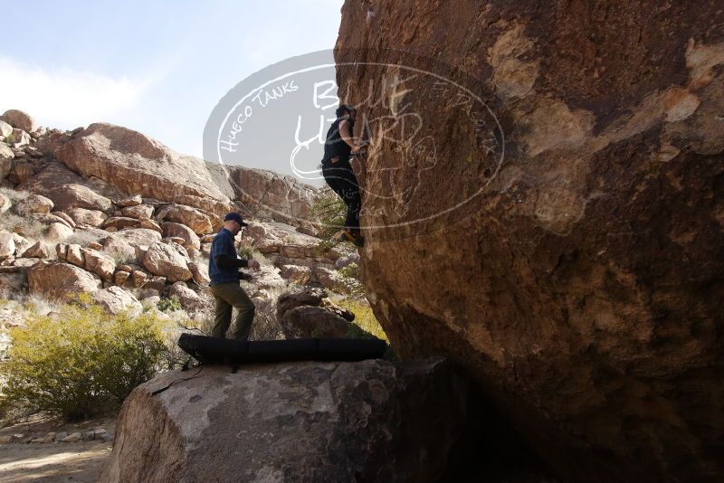 Bouldering in Hueco Tanks on 02/02/2019 with Blue Lizard Climbing and Yoga
Filename: SRM_20190202_1141060.jpg
Aperture: f/5.6
Shutter Speed: 1/400
Body: Canon EOS-1D Mark II
Lens: Canon EF 16-35mm f/2.8 L