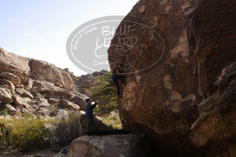 Bouldering in Hueco Tanks on 02/02/2019 with Blue Lizard Climbing and Yoga

Filename: SRM_20190202_1148420.jpg
Aperture: f/5.6
Shutter Speed: 1/80
Body: Canon EOS-1D Mark II
Lens: Canon EF 16-35mm f/2.8 L