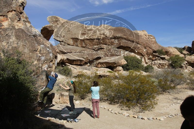 Bouldering in Hueco Tanks on 02/02/2019 with Blue Lizard Climbing and Yoga
Filename: SRM_20190202_1157350.jpg
Aperture: f/5.6
Shutter Speed: 1/800
Body: Canon EOS-1D Mark II
Lens: Canon EF 16-35mm f/2.8 L
