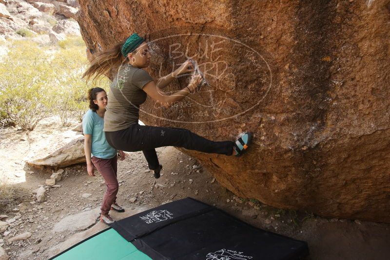 Bouldering in Hueco Tanks on 02/02/2019 with Blue Lizard Climbing and Yoga

Filename: SRM_20190202_1209490.jpg
Aperture: f/5.6
Shutter Speed: 1/400
Body: Canon EOS-1D Mark II
Lens: Canon EF 16-35mm f/2.8 L