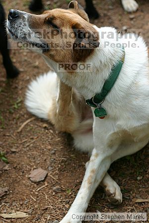 

Filename: img_7981_std.jpg
Aperture: f/3.2
Shutter Speed: 1/500
Body: Canon EOS DIGITAL REBEL
Lens: Canon EF 50mm f/1.8 II