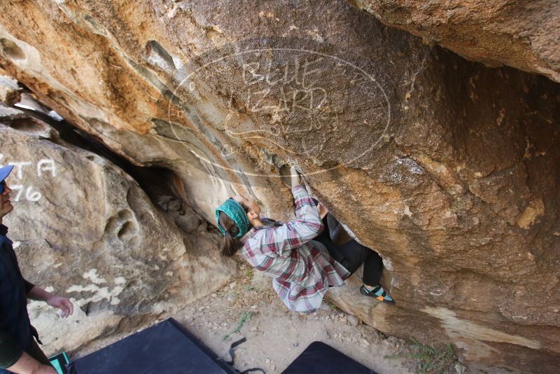 Bouldering in Hueco Tanks on 02/02/2019 with Blue Lizard Climbing and Yoga

Filename: SRM_20190202_1303430.jpg
Aperture: f/4.5
Shutter Speed: 1/200
Body: Canon EOS-1D Mark II
Lens: Canon EF 16-35mm f/2.8 L