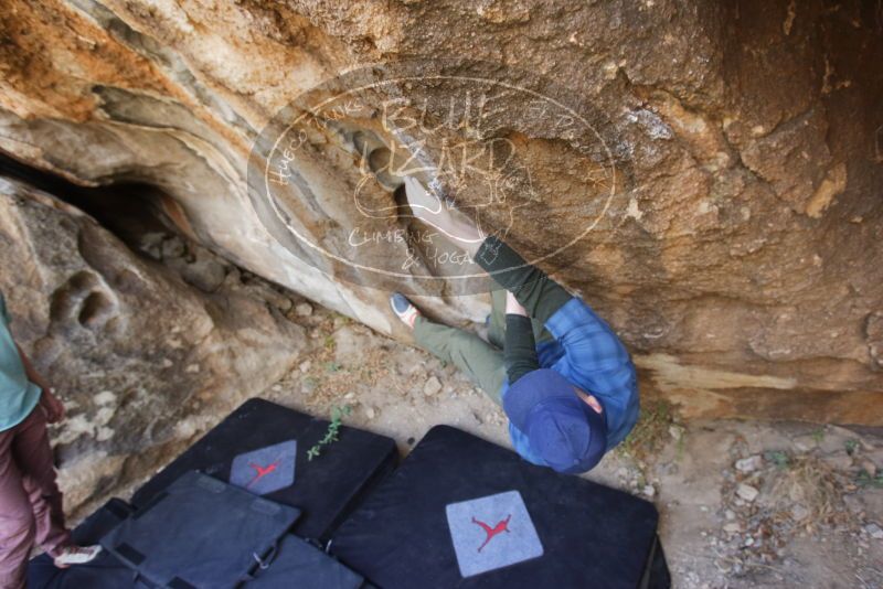 Bouldering in Hueco Tanks on 02/02/2019 with Blue Lizard Climbing and Yoga

Filename: SRM_20190202_1312060.jpg
Aperture: f/4.0
Shutter Speed: 1/200
Body: Canon EOS-1D Mark II
Lens: Canon EF 16-35mm f/2.8 L