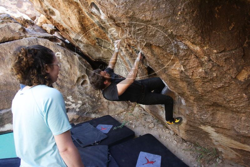 Bouldering in Hueco Tanks on 02/02/2019 with Blue Lizard Climbing and Yoga
Filename: SRM_20190202_1321560.jpg
Aperture: f/4.5
Shutter Speed: 1/200
Body: Canon EOS-1D Mark II
Lens: Canon EF 16-35mm f/2.8 L