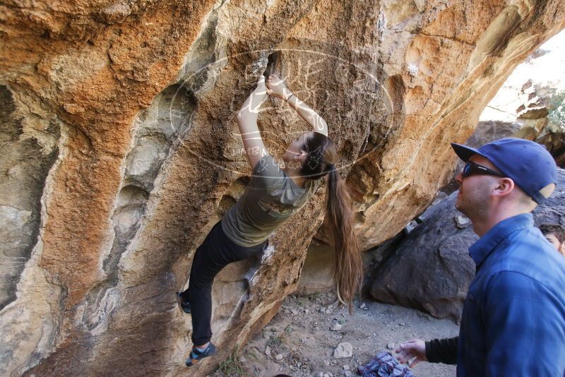 Bouldering in Hueco Tanks on 02/02/2019 with Blue Lizard Climbing and Yoga

Filename: SRM_20190202_1325510.jpg
Aperture: f/4.0
Shutter Speed: 1/200
Body: Canon EOS-1D Mark II
Lens: Canon EF 16-35mm f/2.8 L
