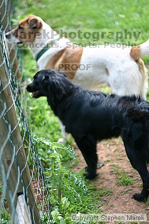 

Filename: img_7995_std.jpg
Aperture: f/1.8
Shutter Speed: 1/500
Body: Canon EOS DIGITAL REBEL
Lens: Canon EF 50mm f/1.8 II