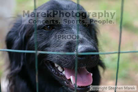 

Filename: img_7990_std.jpg
Aperture: f/3.5
Shutter Speed: 1/125
Body: Canon EOS DIGITAL REBEL
Lens: Canon EF 50mm f/1.8 II