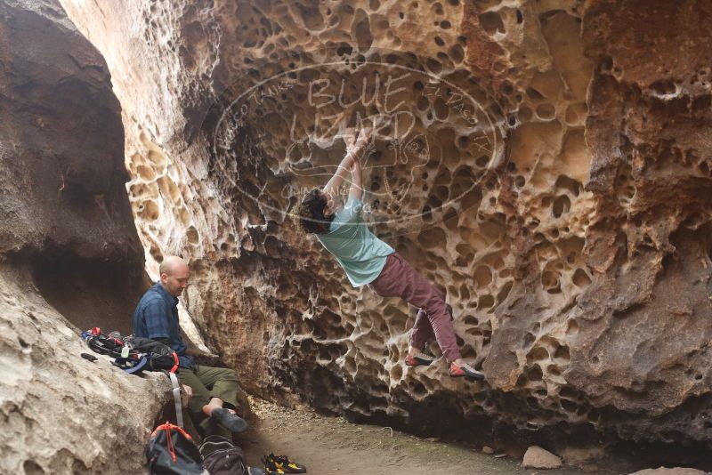 Bouldering in Hueco Tanks on 02/02/2019 with Blue Lizard Climbing and Yoga
Filename: SRM_20190202_1447250.jpg
Aperture: f/2.8
Shutter Speed: 1/125
Body: Canon EOS-1D Mark II
Lens: Canon EF 50mm f/1.8 II