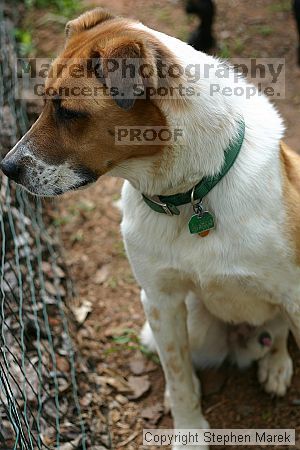 

Filename: img_7980_std.jpg
Aperture: f/2.8
Shutter Speed: 1/500
Body: Canon EOS DIGITAL REBEL
Lens: Canon EF 50mm f/1.8 II